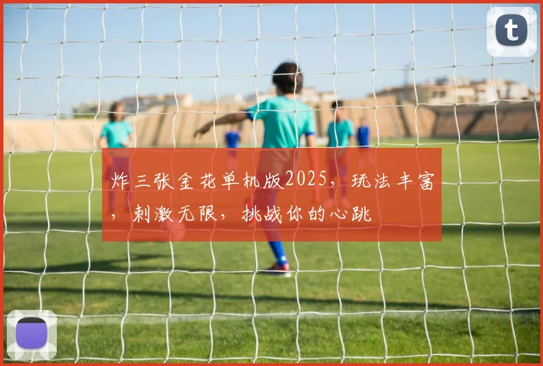 炸三张金花单机版2025，玩法丰富，刺激无限，挑战你的心跳