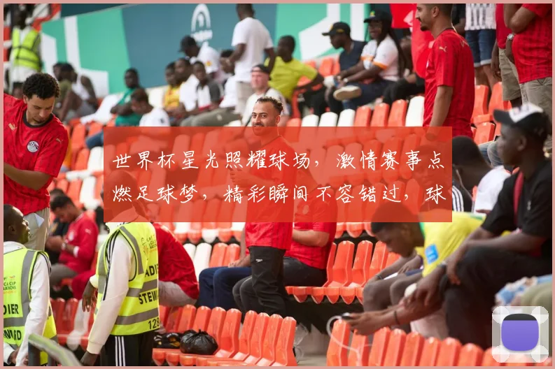 世界杯星光照耀球场，激情赛事点燃足球梦，精彩瞬间不容错过，球迷狂欢