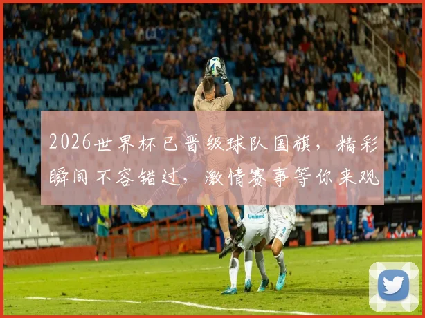 2026世界杯已晋级球队国旗，精彩瞬间不容错过，激情赛事等你来观