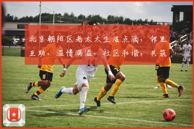 北京朝阳区老太太生活点滴，邻里互助，温情满溢，社区和谐，共筑美好家园