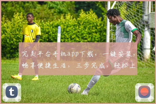 完美平台手机app下载，一键安装，畅享便捷生活，三步完成，轻松上手，不容错过