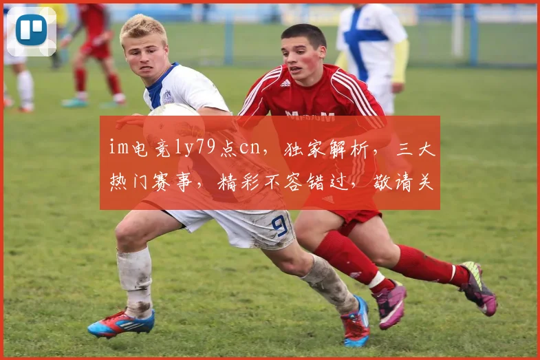 im电竞ly79点cn，独家解析，三大热门赛事，精彩不容错过，敬请关注
